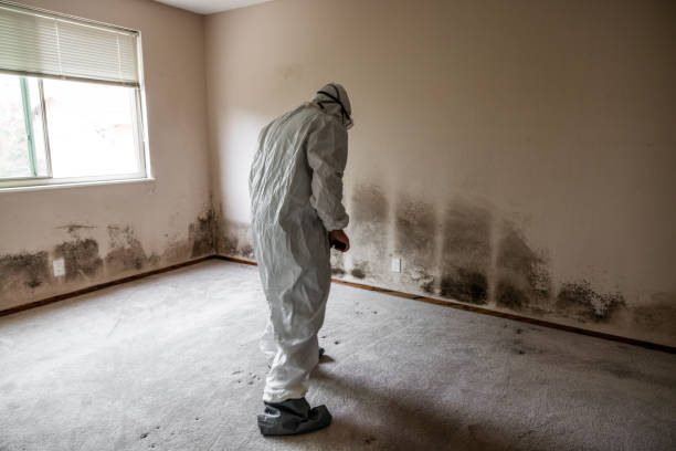 Best Crawl Space Mold Removal  in Parowan, UT